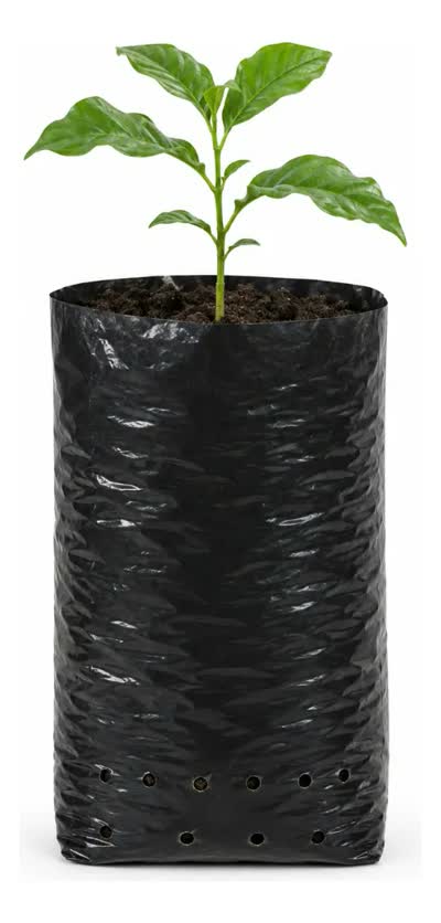 Saco Para Mudas Café 10x20 60 Micras 1000un Preto Nuplast